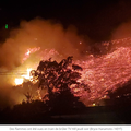 Incendie en Californie