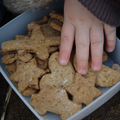 Biscuits vanillés pour petits et grands gourmands, sans blé, sans lait, avec ou sans oeuf