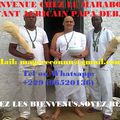 LE GRAND MAÎTRE MARABOUT VOYANT MEDIUM COMPÉTENT DEBAYO POUR VOUS AIDER A RÉSOUDRE VOS PROBLÈMES