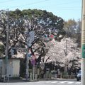Tokyo tour à vélo (springtime remix)