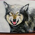 lobo