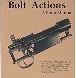 Forces et faiblesses de l'action Mauser (1) : tour d'horizon