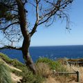 Sur le sentier du littoral