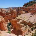 Bryce Canyon , une merveille 6