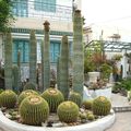 Un jardin extraordinaire … à Hammamet !