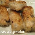 Nems de poulet