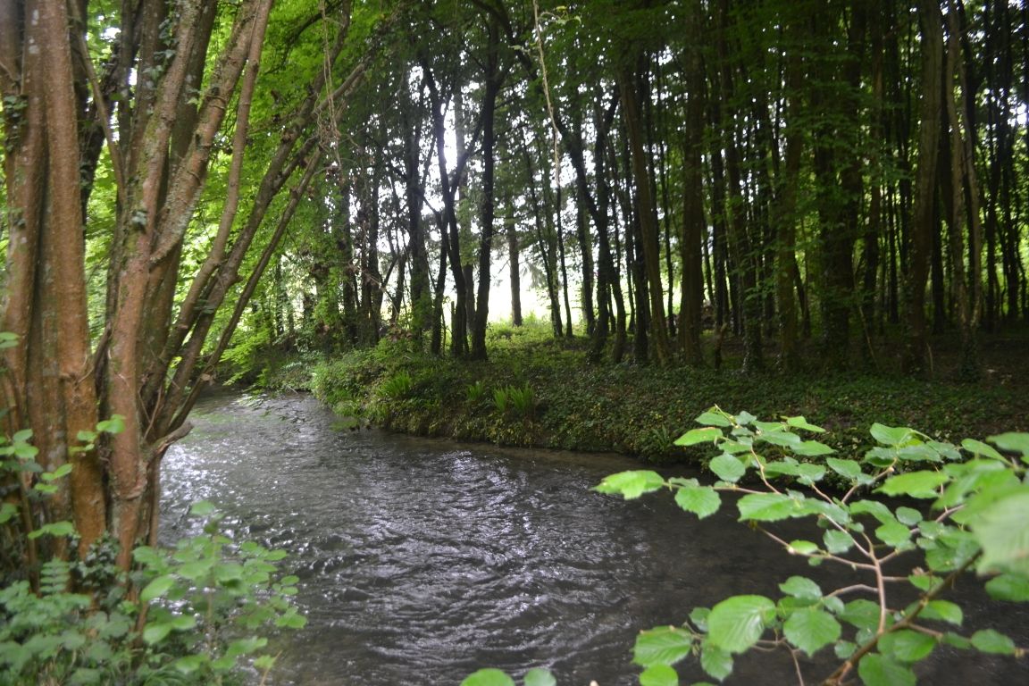DSC_9041 - Copie
