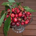 LE TEMPS DES CERISES ....