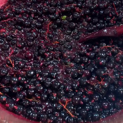 Gelée de cassis 