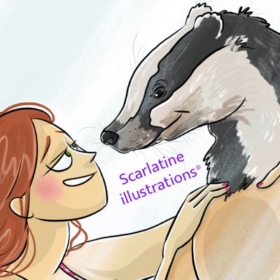 Le bal des blaireaux 