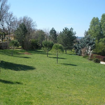 UN petit coin, sous les arbres..