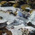 [Drôme] au bord de la rivière gelée...