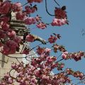 Notre-dame sous un autre angle