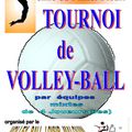 Tournoi de volley 2010 / le 14 juin 2010