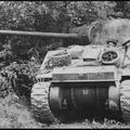 Sherman Firefly (luciole). Chasseur de chars.