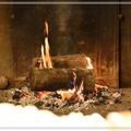 La buche de noël 