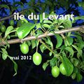 2012 'Île du Levant mai 2012