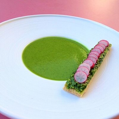 Velouté de fanes, pesto et radis