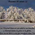Psaume 84 verset 12 