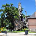 La Normandie est riche aussi de ses monuments naturels