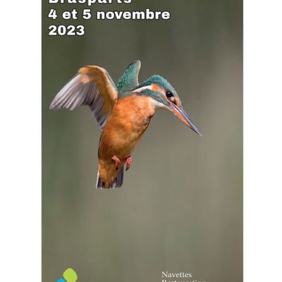 Salons de fin d'année ... 2023