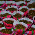 Mignardises à la pistache et au chocolat sans gluten ni produits laitiers