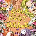 Drôles de bruits dans le millefeuille