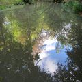 Au Clos Lucé, Léonardo da Vinci dans les reflets de son jardin humide …