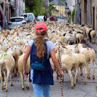 WEEK END A THEME: PARTICIPER A LA TRANSHUMANCE  DANS LE COUSERANS 