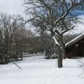 - LA PHOTO DE LA SEMAINE - neige -