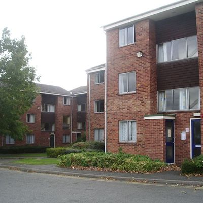 La colocation!!!!!!!