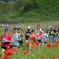 Trail du sancerre 2015