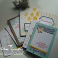 KIT DE CARTES WATERCOLOR WISHES