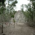 Les temples mayas de Coba