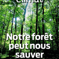 L'importance cruciale de la forêt