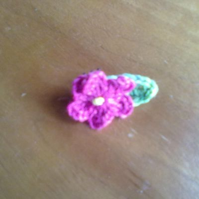 Pinces à cheveux- Hair clips