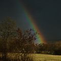 Dans le train : le village des Leprechauns.