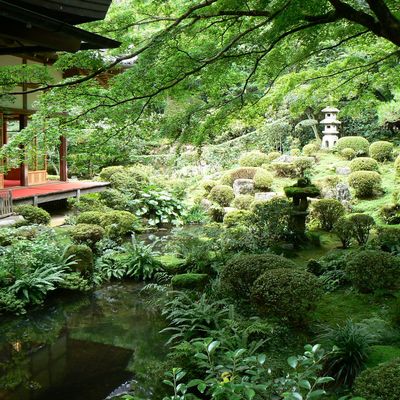 Le restaurant spécialisé dans la préparation des mousses ...