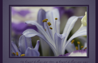 Un bouquet de fleurs pour aimer