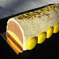 Bûche praliné-citron