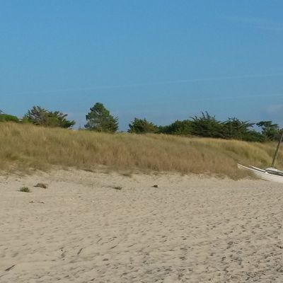 Les Bottes Rouges ~7 - Moulin 