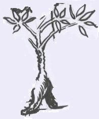 A la rencontre de Raymond - Monsieur Manioc