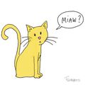 Yellow Cat