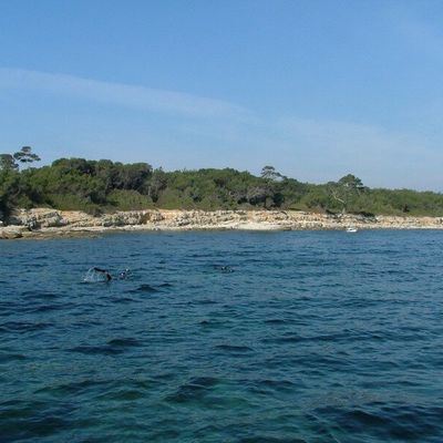 Petite collation de printemps