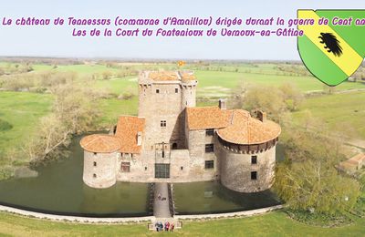 Le château de Tennessus (commune d'Amaillou) érigée durant la guerre de Cent ans -Les de la Court du Fontenioux de Vernoux