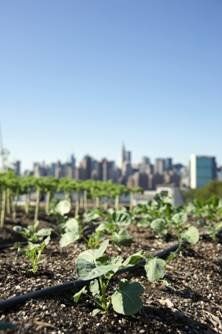Exposition "Sacrée croissance!"