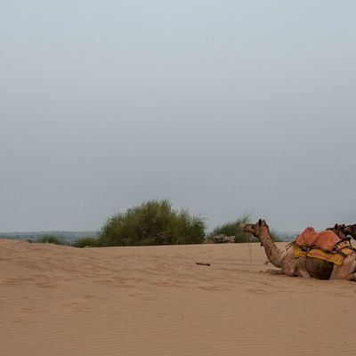 Au creux des dunes...