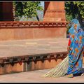 20- Fatehpur Sikri et Agra !