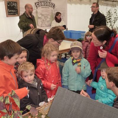 La journée de la pomme