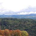 Vallée de la Rhue